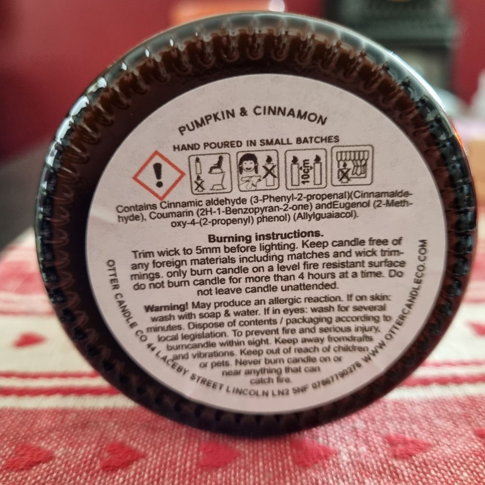Otter Candle co Pumpkin and cinnamon jar candle - Picture 3 of 3